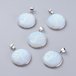 Опал Opalite подвески, с настройками кулона из латуни платинового тона, плоские круглые с деревом, 28~29x24~25x6~7 мм, отверстие : 6x4 мм