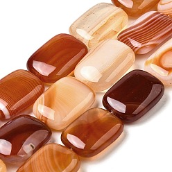 Шоколадный Натуральные полосатые агатовые / полосатые агатовые бусинки, окрашенная и подогревом, прямоугольные, цвет шоколада, 18~18.5x13~13.5x5~6 мм, отверстие : 1.5 мм, около 22 шт / нитка, 15.63'' (39.7 см)
