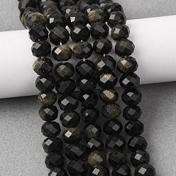 Золотой Обсидиан Естественный золотистый отлив обсидиан бисер пряди, рондель, граненые, 8x5.5~6 мм, отверстие : 1 мм, около 62 шт / нитка, 15.04'' (38.2 см)
