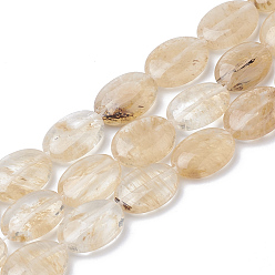 Other Watermelon Stone Glass Coffee Watermelon Stone Glass Beads Strands, Oval, 18~18.5x13x6mm, Hole: 1mm, about 22pcs/strand, 15.7 inch