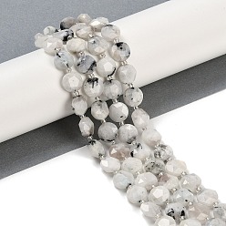 Rainbow Moonstone Бусины из натурального радужного лунного камня, граненый пятиугольный разрез, плоско-круглые, с бисером, 10~10.5x5~6 мм, отверстие : 1 мм, около 32~33 шт / нитка, 15.75'' (40 см)