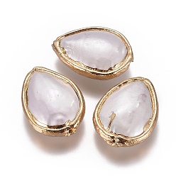 Дригие Морские Ракушки Стеклянные бусы, край позолоченный, слеза, 28~30x20~20.5x8.5 мм, отверстия: 0.8~1 mm