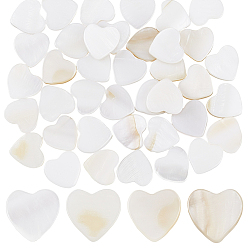 Кремово-белый 2 нити из натуральных пресноводных бусин из ракушек, сердце, кремово-белые, 10.5x10.5x3 мм, отверстие : 1 мм, около 33 шт / нитка, 13.78 дюйм (35 см)