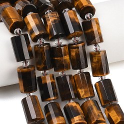 Тигровый глаз Природных тигровый глаз бисер нитей, граненые, колонка, с бисером, 15~15.5x10 мм, отверстие : 0.8 мм, около 22 шт / нитка, 15.75''~15.98'' (40~40.6 см)