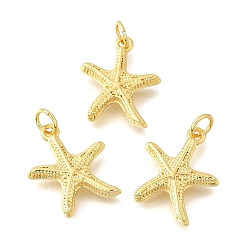 Настоящее золото 18K Латунные подвески, прелести морская звезда, стойки покрытие, прочное покрытие, без кадмия и без свинца, с целью перехода в кольце, реальный 18 k позолоченный, 17x14x2.5 мм, отверстие : 3 мм