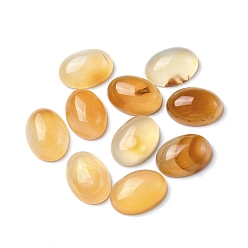 Red Agate Natural Red Agate Cabochons, Oval, 18x13x6.5mm
