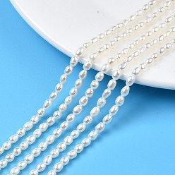 Морская Ракушка Нити из натурального культивированного пресноводного жемчуга, рис, цвет морской раковины, 4.5~5x3~4 мм, отверстие : 0.7 мм, около 68~69 шт / нитка, 14.17 дюйм (36 см)