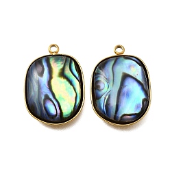 Квадрат 304 подвески из натуральной ракушки пауа из нержавеющей стали, ионное покрытие (ip), реальный 18 k позолоченный, квадратный, 22x15.5x4 мм, отверстие : 1.6 мм