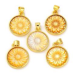 Желтые Ракушки Подвески-подсолнухи из натуральной желтой ракушки, стойки обшивки латунные круглые плоские прелести, золотые, 20.5x17x3.5 мм, отверстие : 3.5x5 мм