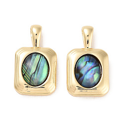 Real 18K Gold Plated Brass Pave Natural Paua Shell Pendants, Rectangle Charms, Real 18K Gold Plated, 19.5x11x4.5mm, Hole: 2x4mm