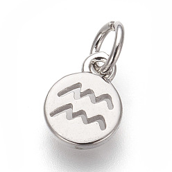 Водолей Латунь прелести, без свинца и без кадмия, плоский круглый с созвездиями, платина, Водолей, 9.5x7x1 мм, отверстие : 3 мм