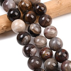 Кокосово-Коричневый Природные окаменелое дерево бисер пряди, круглые, кокосового коричневый, 16~16.5 мм, отверстие : 1.6 мм, около 24~25 шт / нитка, 15.35~15.94 дюйм (39~40.5 см)