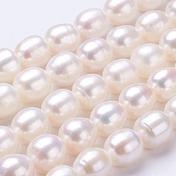 Морская Ракушка Нити из натурального культивированного пресноводного жемчуга, овальные, цвет морской раковины, 10~11x9~10 мм, отверстие : 0.5 мм, около 35~37 шт / нитка, 15.5 дюйм ~ 15.7 дюйм