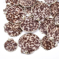 Saddle Brown Spray Paint & Electroplate Sea Shell Pendants, with Iron Findings, Light Gold, Saddle Brown, 41~55x33~53x3~7mm, Hole: 2mm