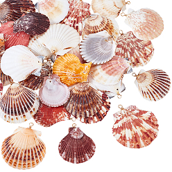 Золотой 32шт 4 подвеска из натуральной ракушки, с медной проволокой, золотые, 41~54 мм, отверстие : 3.5 мм, 8 шт / стиль