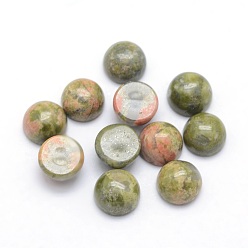 Унакит Природные кабошонов Unakite, полукруглый, 6x3~3.5 мм