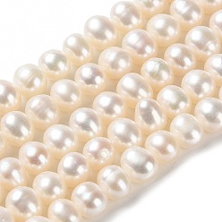 Папайя Оранжевый Нити из натурального культивированного пресноводного жемчуга, картофель, класс 2, papayawhip, 6~7x5.5~6 мм, отверстие : 0.6 мм, около 76 шт / нитка, 15.43 дюйм (39.2 см)