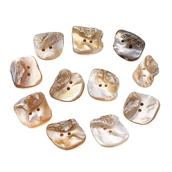 Seashell Color 2-Hole Natural Shell Buttons, Nuggets, Seashell Color, 24x19x11mm, Hole: 1.8mm
