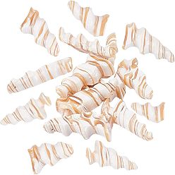 Trochus Shell Natural Trochid Shell/Trochus Shell Beads, Top Drilled Beads, Spiral, 21~40x10~20x6~7mm, Hole: 0.5mm, about 20pcs/box