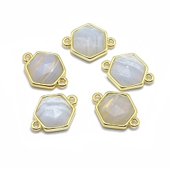 Blue Lace Agate Natural Blue Lace Agate Links connectors, with Golden Tone Brass Findings, Hexagon, Faceted, 12x16x5mm, Hole: 1.2mm