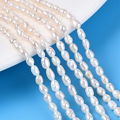Кремово-белый Нити из натурального культивированного пресноводного жемчуга, рис, кремово-белые, 3~4.5x2.5~3 мм, отверстие : 0.3~0.4 мм, около 44~50 шт / нитка, 6.89~7.28'' (17.5~18.5 см)