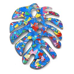 Лист Акриловые подвески, лист, 39x30x2 мм, отверстие : 2 мм