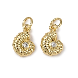 Настоящее золото 18K Латунные микро проложить кубического циркония подвески, раковины прелести, с целью перехода в кольце, долговечный, без кадмия и без свинца, стойки покрытие, реальный 18 k позолоченный, 12.5x8.5x3.5 мм, отверстие : 3 мм