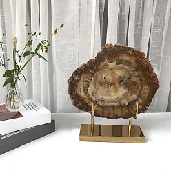 Деревянное Окаменение Натуральный окаменевший срез древесины на золотистой железной подставке, деревенский декор для дома, 290x260x16.2~20 мм