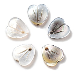 Серый Подвески из натуральной черной ракушки, цветок, серые, 10x10x2 мм, отверстие : 1.5 мм