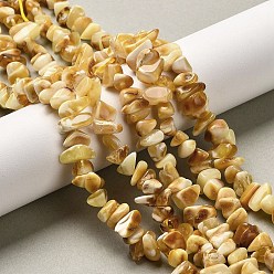Янтарный Янтарные шарики нити, чип, 7~10x5~9x4~6 мм, отверстие : 0.5 мм, около 89~90 шт / нитка, 13.98 дюйм (35.5 см)