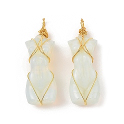 Опал Opalite подвески, с золотистым тоном покрытия стойки обмотка латунной проволокой, долговечный, без свинца и без кадмия, хума, 52x18.5x2.2 мм, отверстие : 4.8 мм