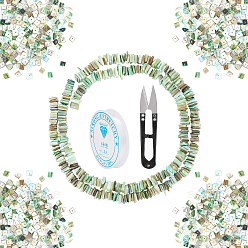 Green DIY Stretch Bracelets Making Kits, Including Natural Freshwater Shell Beads, Elastic Crystal Thread and Steel Scissors, Green, Beads: 8~9x7.5~8x1~4mm, Hole: 0.5mm, 15.2~15.3 inch(38.5~39cm), 2strand/set