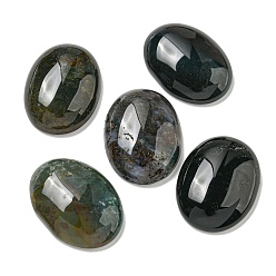 Indian Agate Natural Indian Agate Cabochons, Oval, 30x21.5~22x5~8.5mm