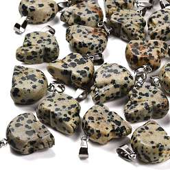 Далматинских Джаспер Природные яшмы далматин подвески, из нержавеющей стали с цветным покрытием 201 защелки из нержавеющей стали на дужках, череп, 18~18.5x9.5~10x20~21 мм, отверстие : 7.5x4.5 мм