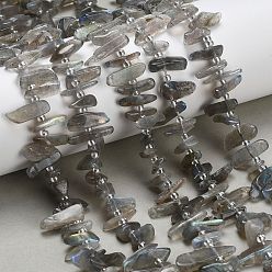 Лабрадорита Природные лабрадорита бисер нитей, чип, с бисером, класс А, 6~22x4~7.5 мм, отверстие : 0.8~1 мм, около 67~69 шт / нитка, 14.76''~15.75'' (37.5~40 см)