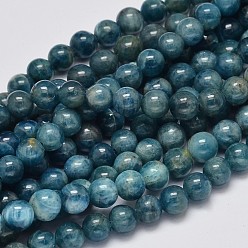 Apatite Round Natural Apatite Beads Strands, Grade AB+, 6mm, Hole: 1mm, about 64pcs/strand, 15.7 inch