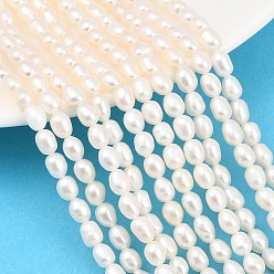 Бежевый Нити из натурального культивированного пресноводного жемчуга, рис, класс 5, бежевые, 4.3~4.6 мм, отверстие : 0.5 мм, около 69 шт / нитка, 15.43'' (39.2 см) ~ 15.51'' (39.4 см)