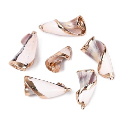 Linen Electroplated Golden Brass Trim Natural Spiral Shell Pendants, Conch Charms, Linen, 26~42x14~21x13~24mm, Hole: 1.5~1.6mm