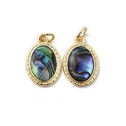 Настоящее золото 18K Овальные подвески из эпоксидной смолы и натуральной ракушки пауа, с латунными оправами и соединительными кольцами, стойки покрытие, долговечный, без свинца и без кадмия, реальный 18 k позолоченный, 16x11x2.5 мм, отверстие : 3 мм