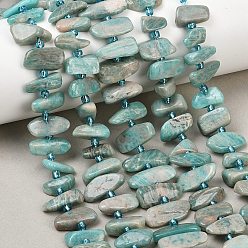 Амазонит Природных амазонит бисер нитей, самородки, с бисером, 5~8x7~18x3~6 мм, отверстие : 0.8 мм, около 46~58 шт / нитка, 15.55''~15.75'' (39.5~40 см)