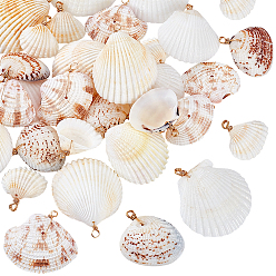 Золотой 30шт 5 подвеска из натуральной ракушки, с медной проволокой, золотые, 24~53 мм, отверстие : 3 мм, 6 шт / стиль