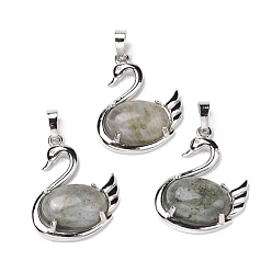 Лабрадорита Природные подвески лабрадорита, с латунной фурнитурой платинового цвета, без кадмия и без свинца, лебедь, 32x25x7.3 мм, отверстие : 8 мм