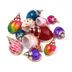 Mixed Color Spray Paint & Electroplate Spiral Shell Pendants, with Iron Findings, Light Gold, Mixed Color, 28~38x15~22x13~20mm, Hole: 2mm