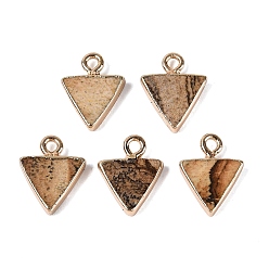 Picture Jasper Natural Picture Jasper Pendants, Brass Triangle Bezeled Charms, Golden, 13.5~14.5x11x2.5~3mm, Hole: 1.8mm