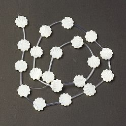 Creamy White Natural Trochid Shell/Trochus Shell Beads, Shell, Creamy White, 12x12x3mm, Hole: 0.9mm, about 20pcs/strand, 18.90''(48cm)