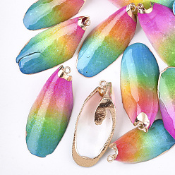 Colorful Spray Painted & Electroplate Sea Shell Pendants, with Iron Findings, Light Gold, Colorful, 34~51x16~21x7~11mm, Hole: 1.5mm