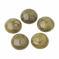 Цвет Оливы Естественные рябины кашпонов яшмы, окрашенные, плоско-круглые, оливковый, 19.5~20x6~6.5 мм