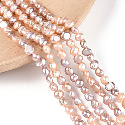 чертополох Нити из натурального культивированного пресноводного жемчуга, барочный жемчуг кеши жемчужные бусы, двух сторон полированной, чертополох, 3.5~5.5x4~6.5x2~4.5 мм, отверстие : 0.6 мм, около 36~40 шт / нитка, 6.69~7.09 дюйм (17~18 см)