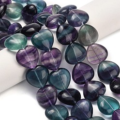Флюорит Природного флюорита бисер нитей, сердце, 15.5x16.5x8~8.5 мм, отверстие : 1.2 мм, около 27 шт / нитка, 15.94'' (40.5 см)