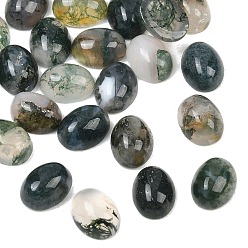 Oval Природные моховой агат кабошонов, овальные, 7.5~8x6x3.5~4 мм
